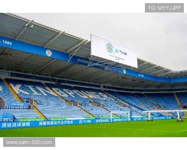 体育衍生内容共创模式获得市场认可